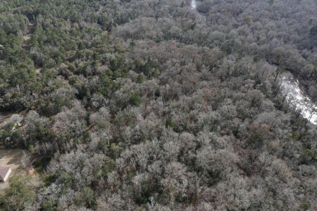 7 of 16 - Tbd 3 Acre River Loop Drive, Crestview, FL