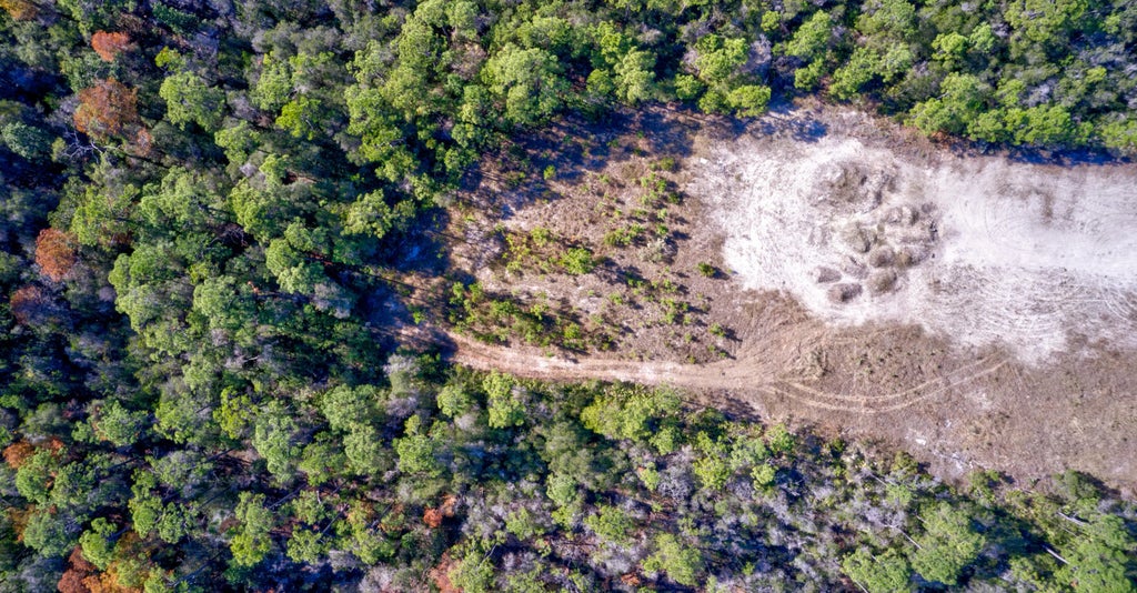 5 of 11 - Tract I Sandgrass Blvd Boulevard, Santa Rosa Beach, FL