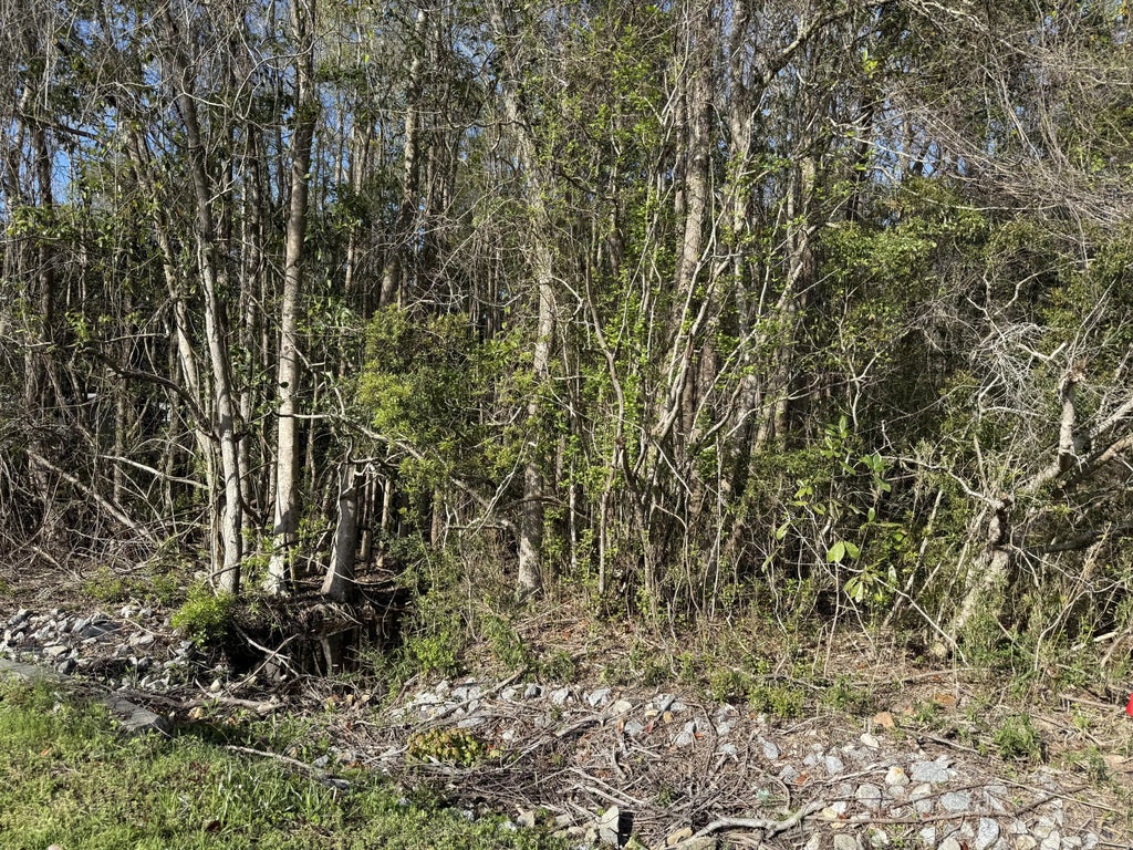 10 of 24 - Lot 8 Marsh Drive, Freeport, FL