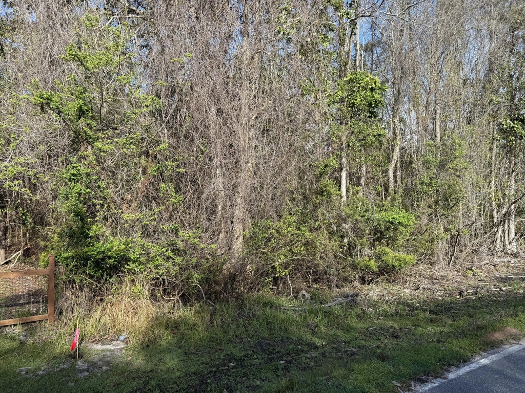 5 of 24 - Lot 8 Marsh Drive, Freeport, FL