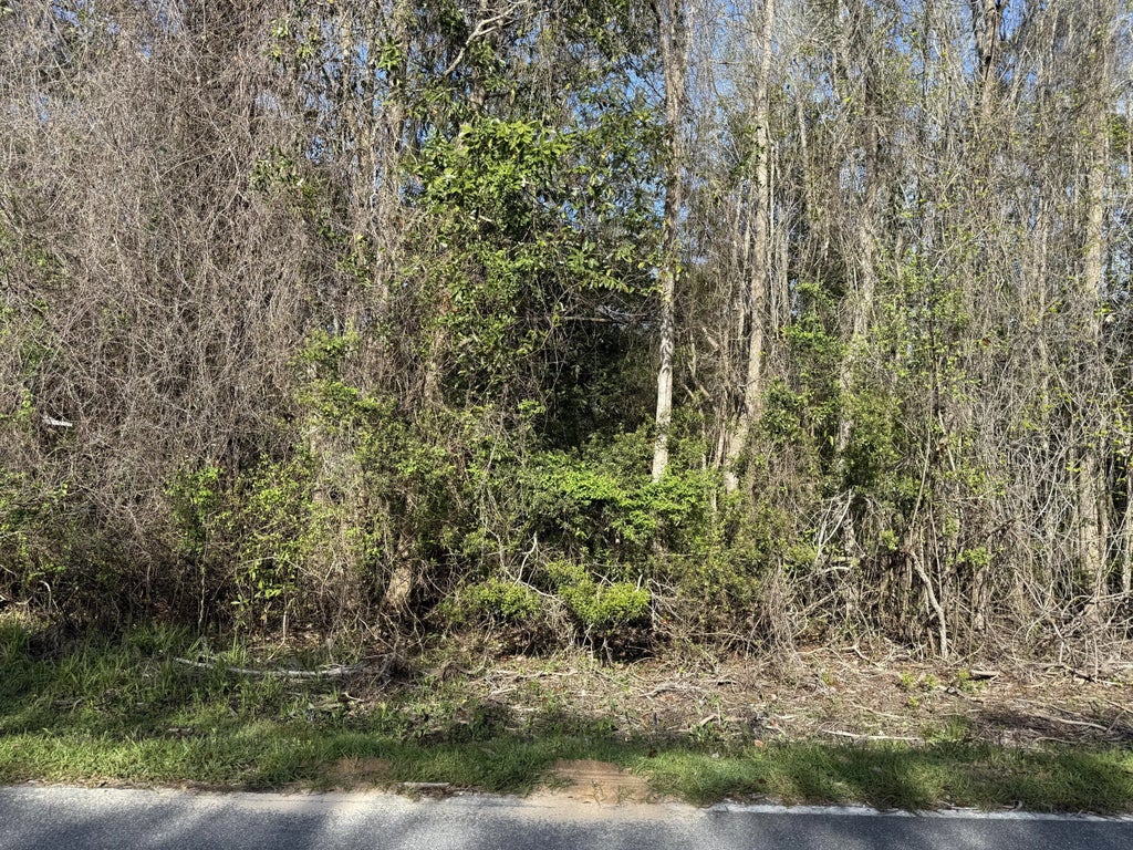 6 of 24 - Lot 8 Marsh Drive, Freeport, FL