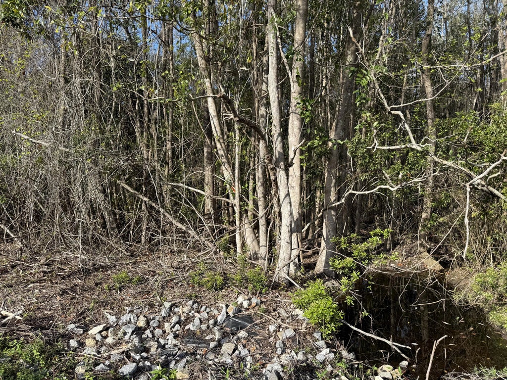 9 of 24 - Lot 8 Marsh Drive, Freeport, FL