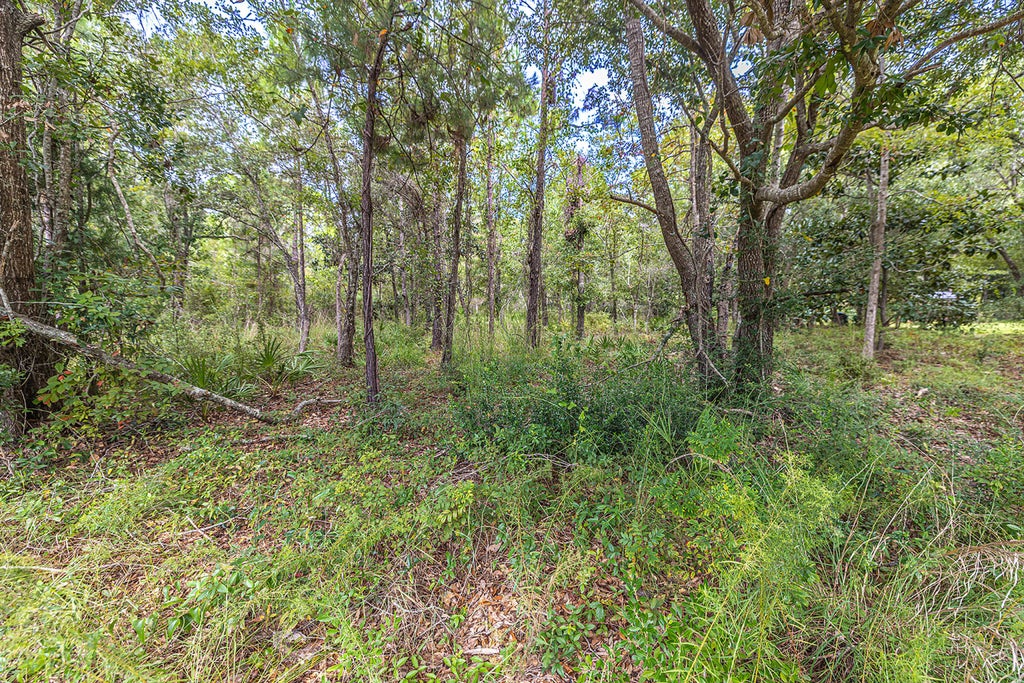 5 of 18 - Lot 76 Harbour Trace, Freeport, FL