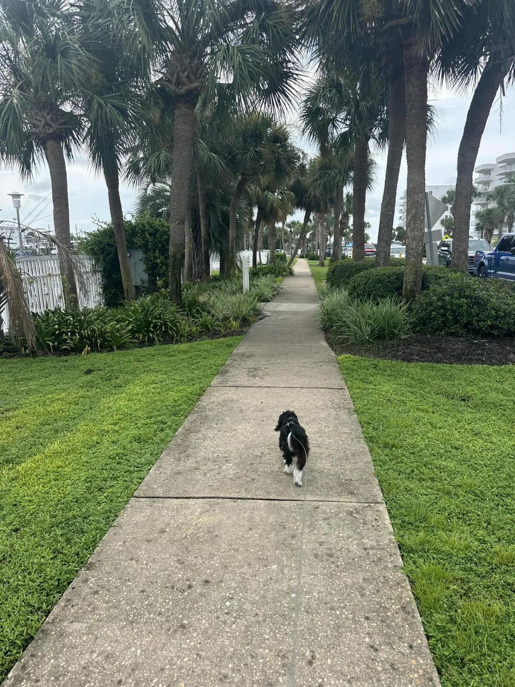 38 of 52 - 100 Gulf Shore Drive 306, Destin, FL