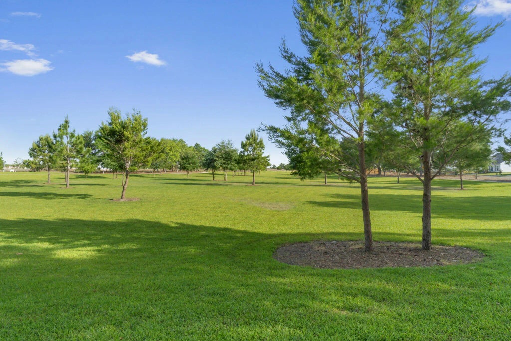 16 of 20 - Lot 21 Huckleberry Street, Freeport, FL