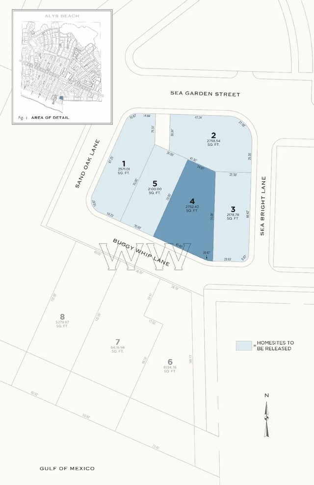 Ww4 Buggy Whip Lane, Inlet Beach.