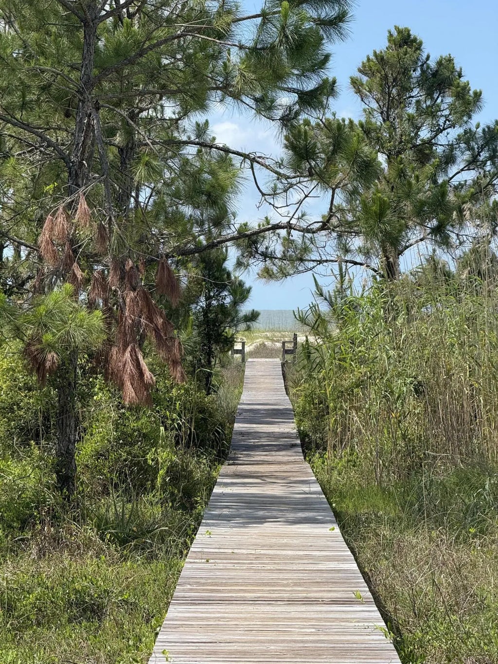 10 of 18 - 111 Pluto Way, Cape San Blas, FL