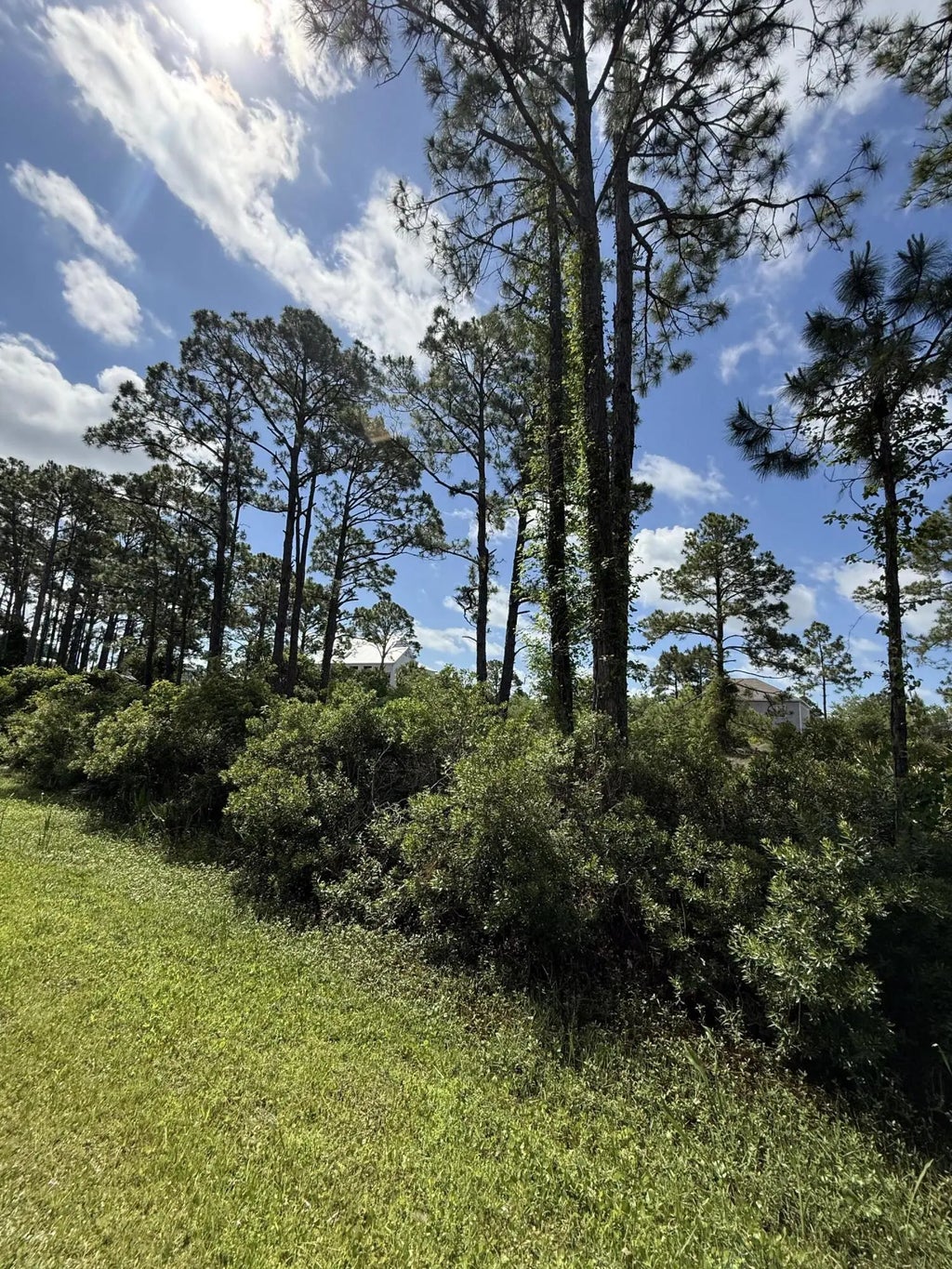 4 of 18 - 111 Pluto Way, Cape San Blas, FL