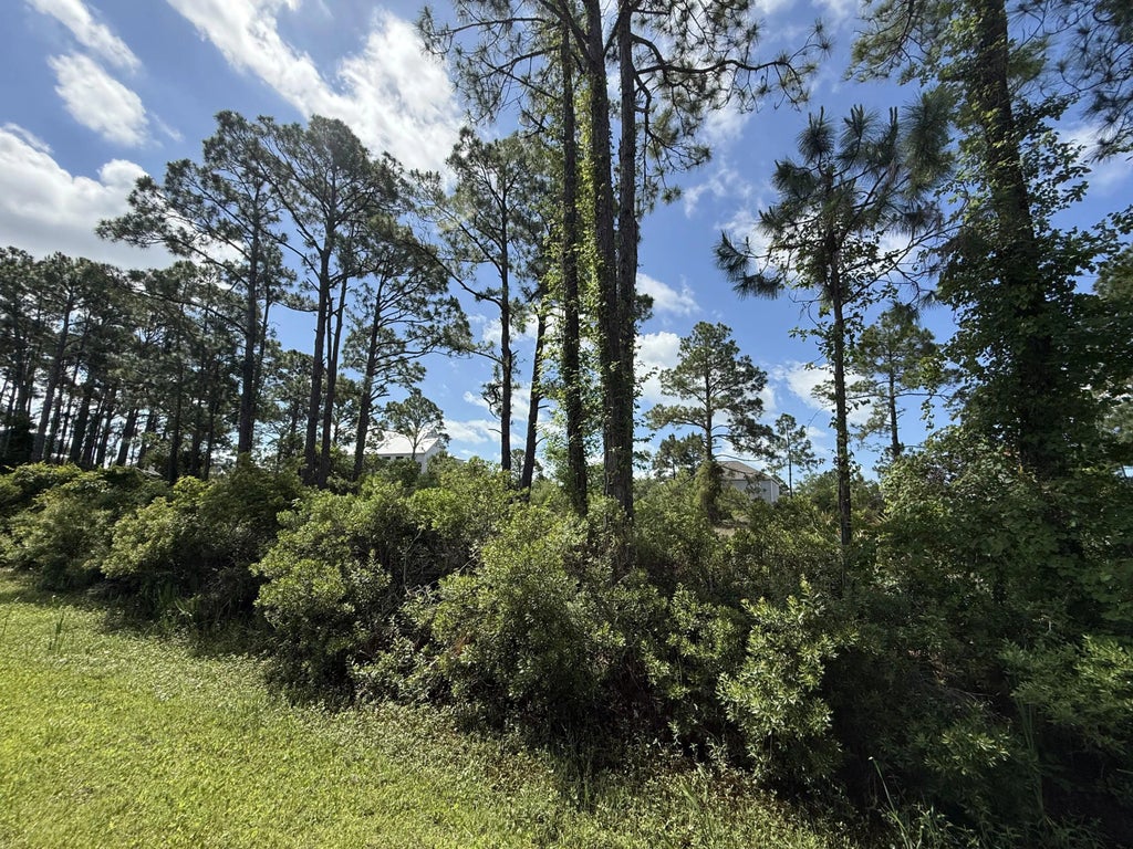 5 of 18 - 111 Pluto Way, Cape San Blas, FL