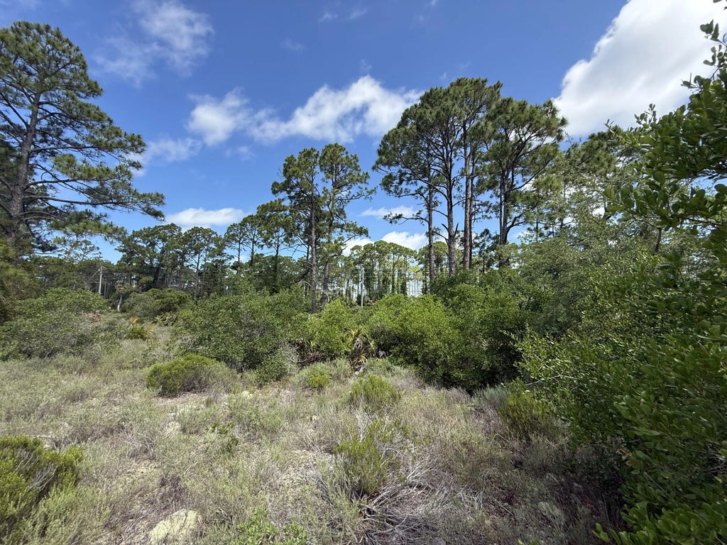 6 of 18 - 111 Pluto Way, Cape San Blas, FL