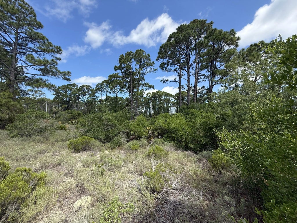 7 of 18 - 111 Pluto Way, Cape San Blas, FL