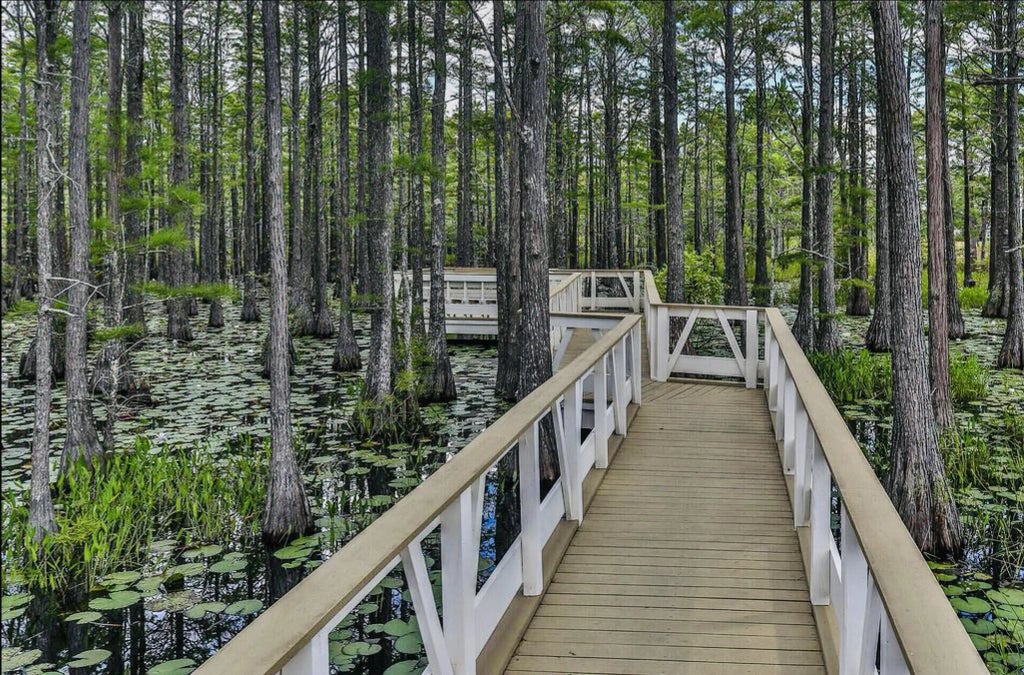 35 of 36 - 129 Cypress Drive, Santa Rosa Beach, FL
