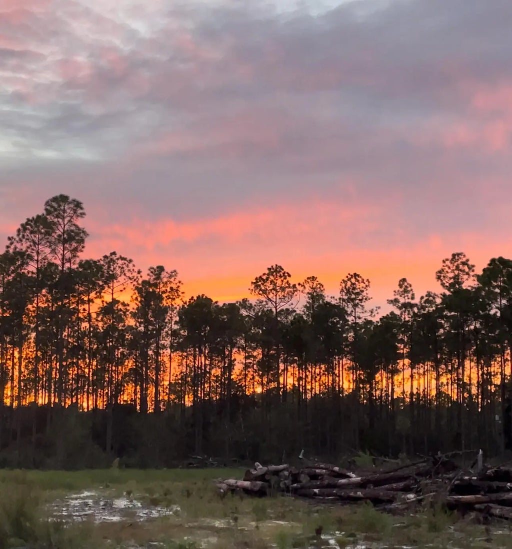 4 of 19 - 1628 Joe Dugger Road, Freeport, FL