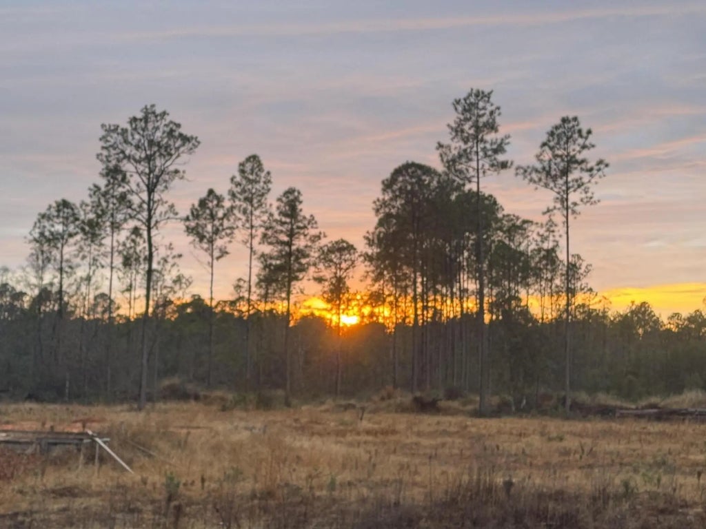 5 of 19 - 1628 Joe Dugger Road, Freeport, FL