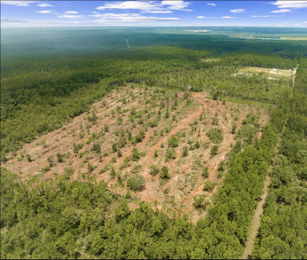 6 of 19 - 1628 Joe Dugger Road, Freeport, FL
