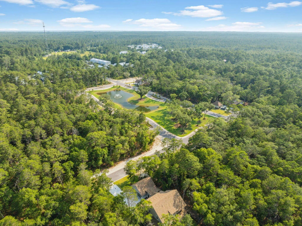 50 of 65 - 53 Millstone Drive, Point Washington, FL