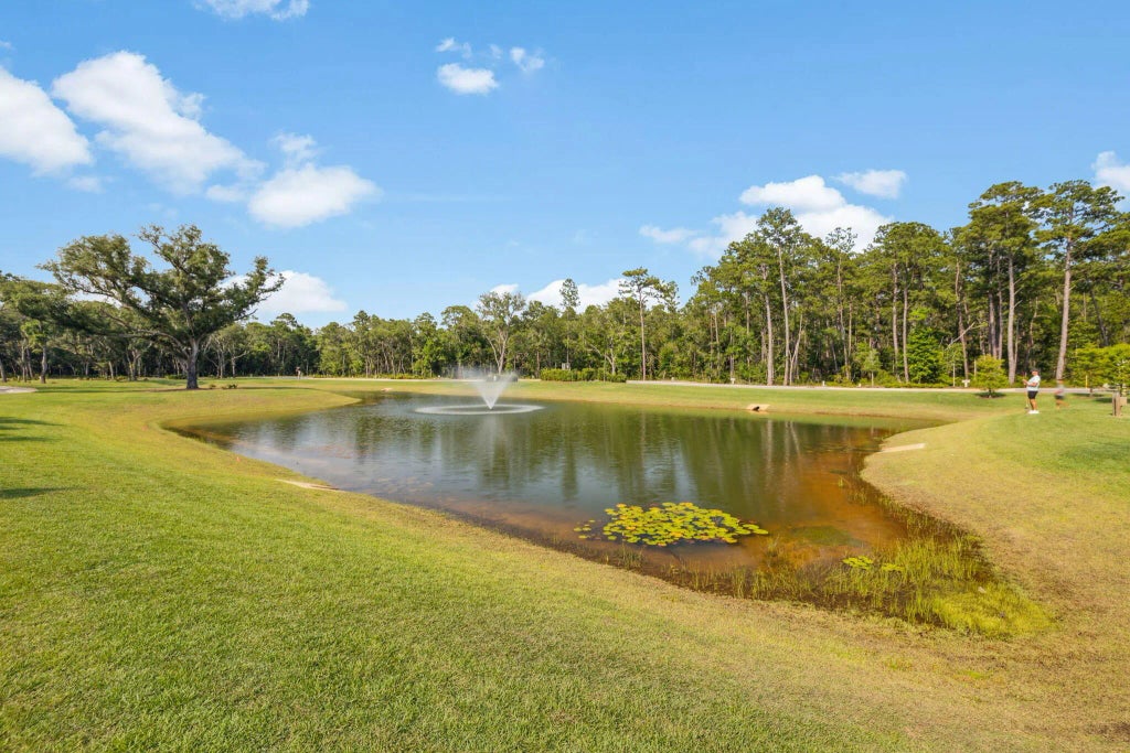 54 of 65 - 53 Millstone Drive, Point Washington, FL