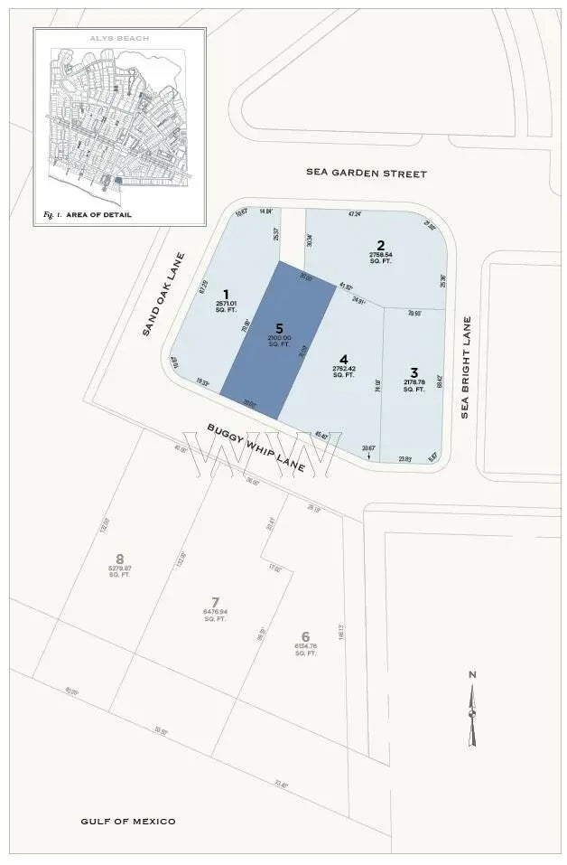 Tbd Buggy Whip Lane, Inlet Beach