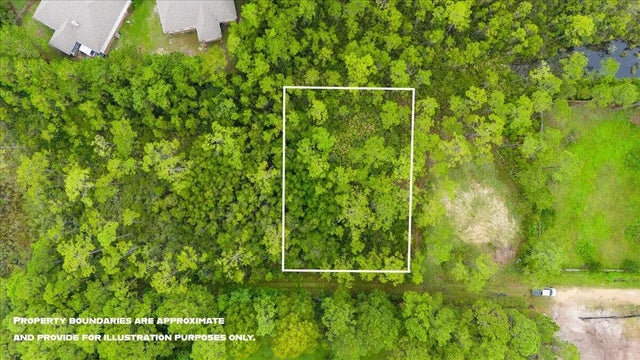 Photo of Listing #982517