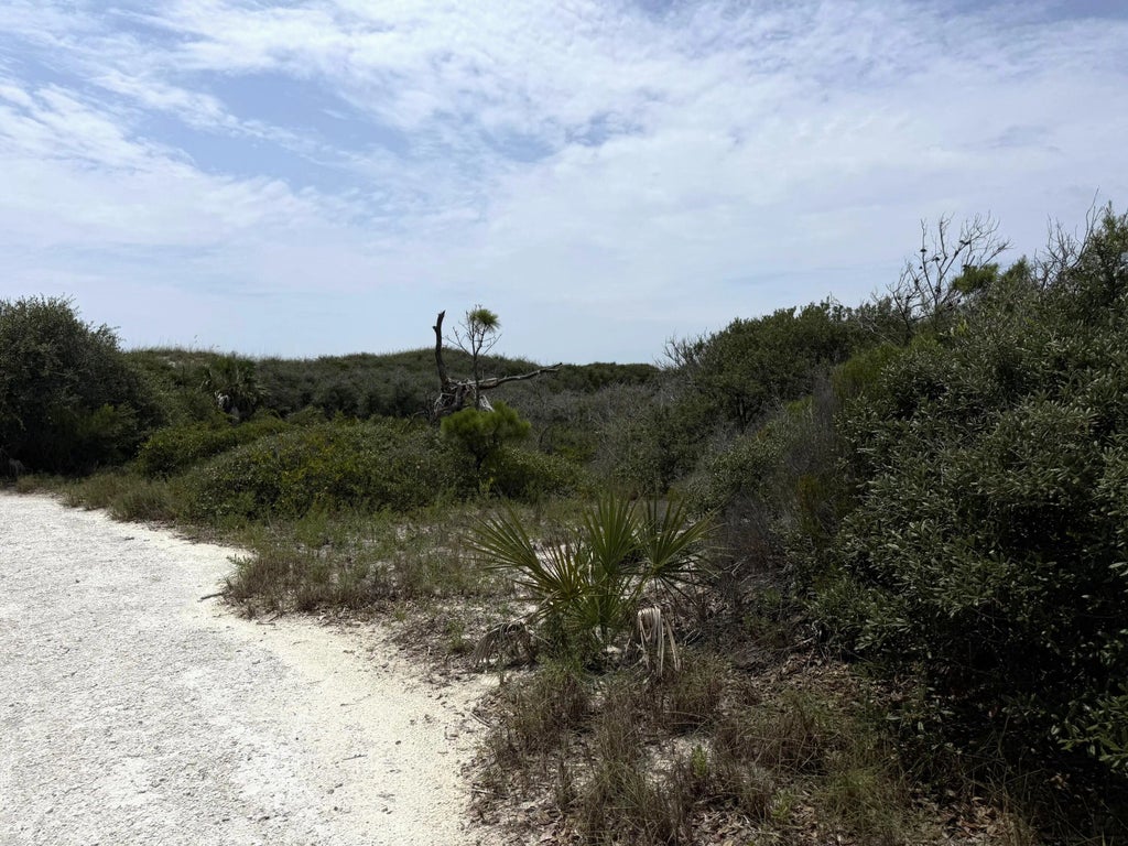 22 of 27 - Tbd Boyne Road, Cape San Blas, FL