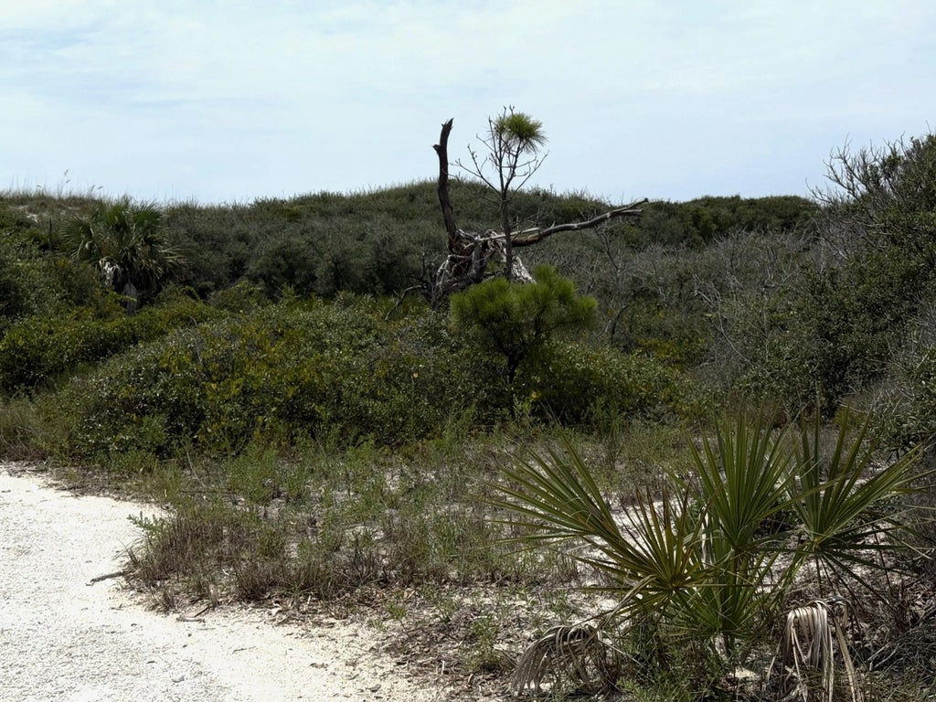 24 of 27 - Tbd Boyne Road, Cape San Blas, FL