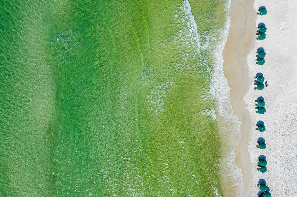 50 of 50 - 27 St. Augustine Street 6201, Rosemary Beach, FL