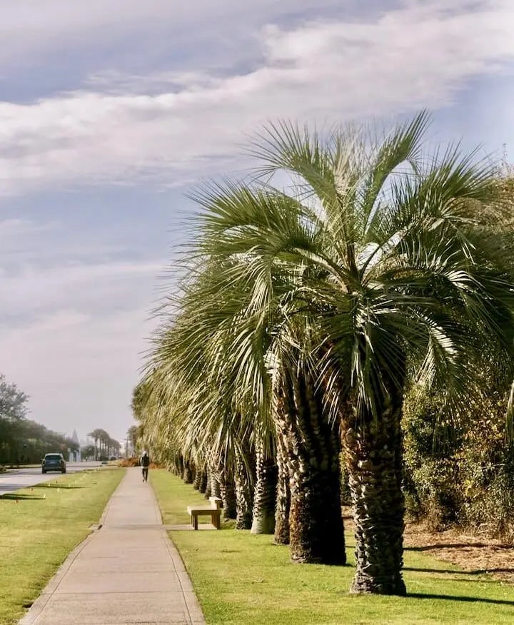 4 of 39 - 10343 E County Highway 30a B230, Rosemary Beach, FL