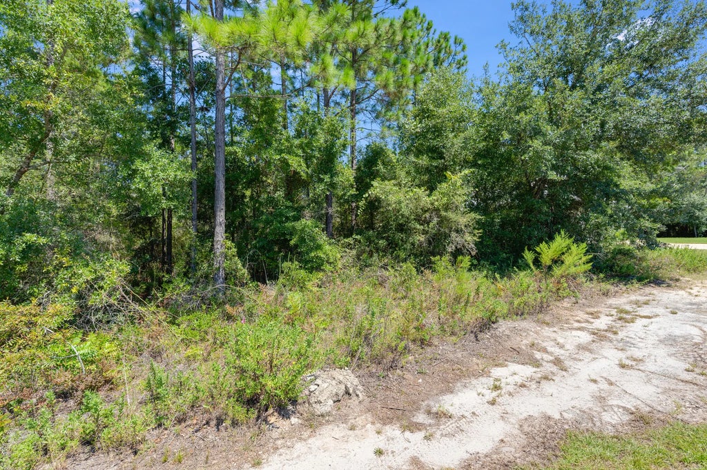 6 of 28 - Lot 4 & Lot 7 Bear Creek Cottages, Freeport, FL