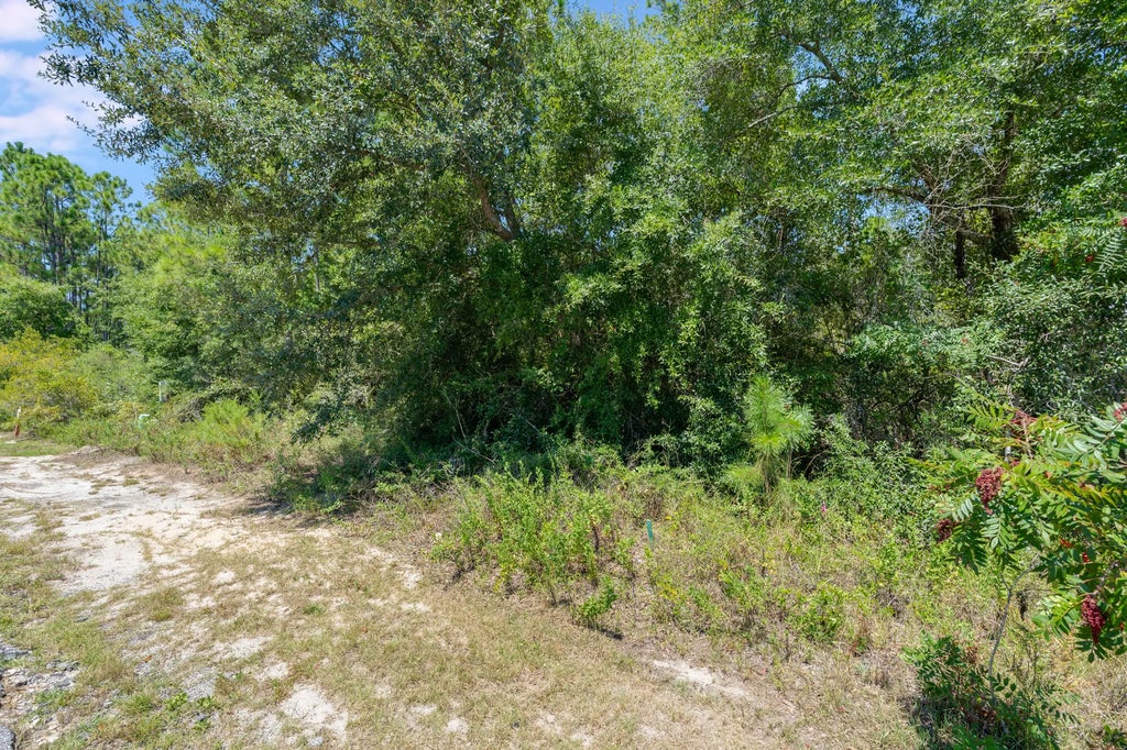 8 of 28 - Lot 4 & Lot 7 Bear Creek Cottages, Freeport, FL