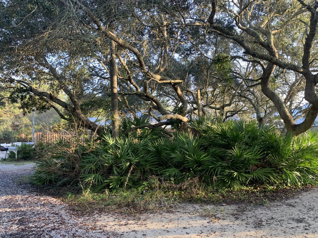 14 of 18 - 0 Williams, Santa Rosa Beach, FL