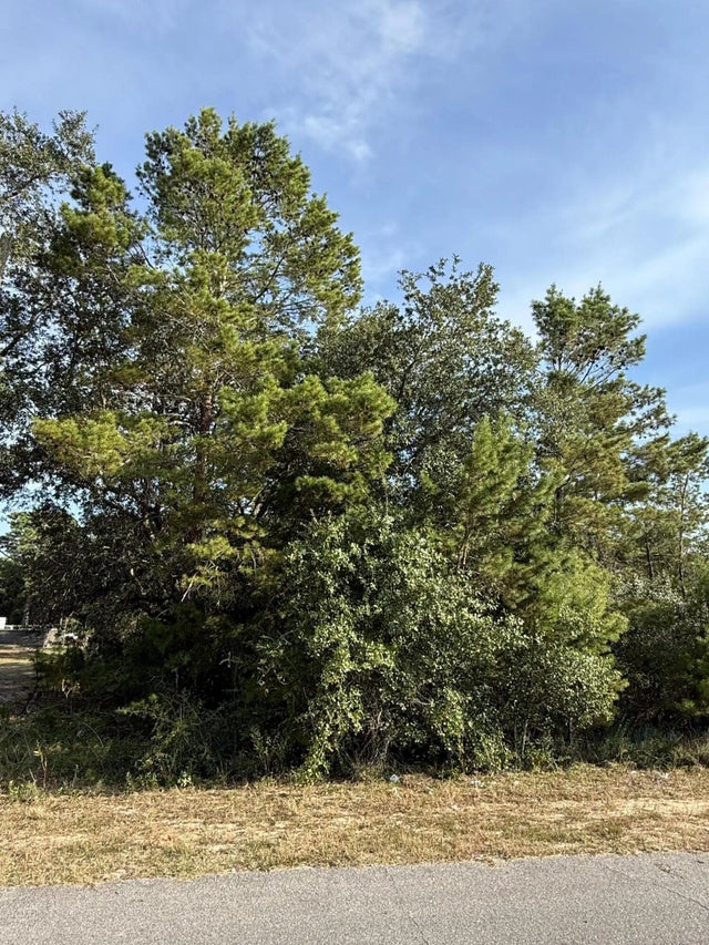 Photo of Listing #985511