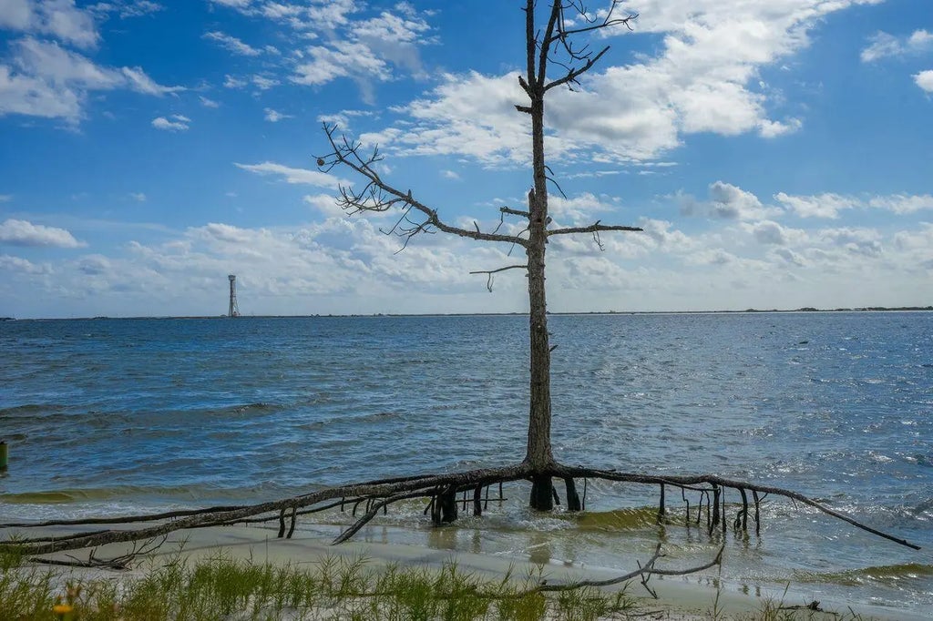 53 of 80 - 2595 W Highway 98, Mary Esther, FL