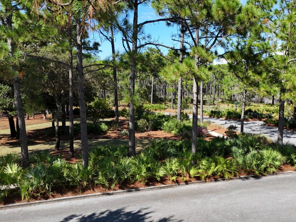 4 of 21 - 82 Inkberry Street, Santa Rosa Beach, FL