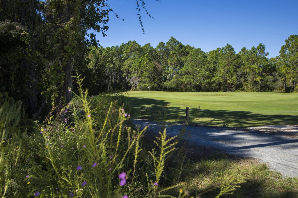 15 of 19 - Lot 14 Needle Cast Lane, Inlet Beach, FL