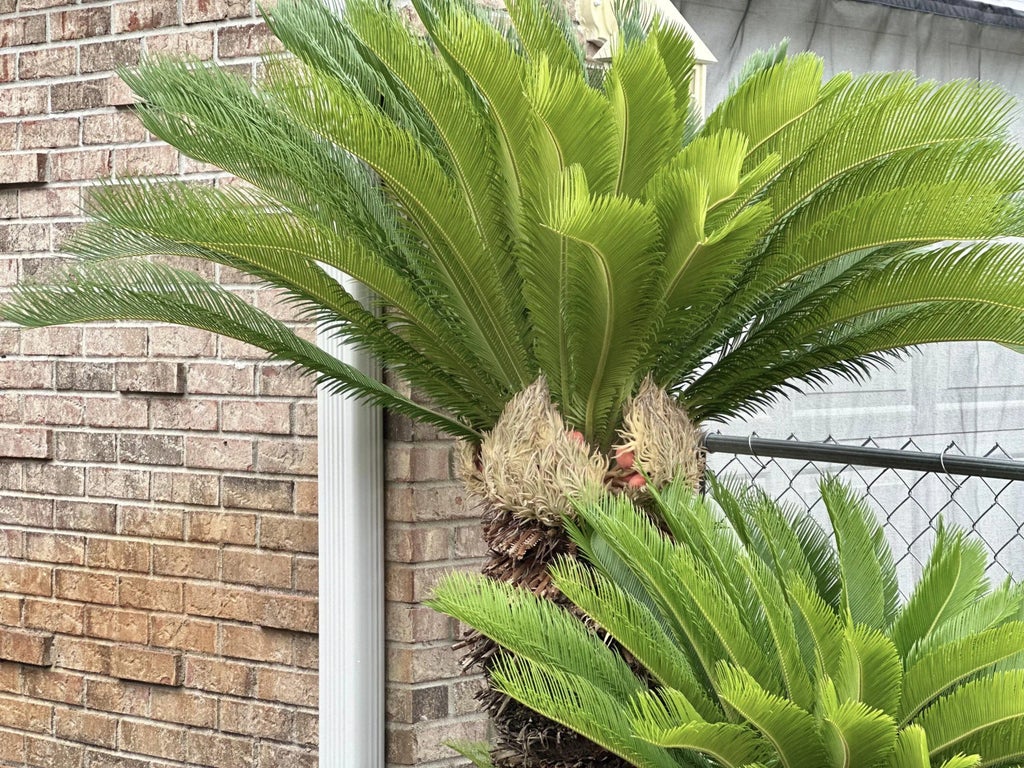 5 of 25 - 1137 Jeni Mae Court, Fort Walton Beach, FL