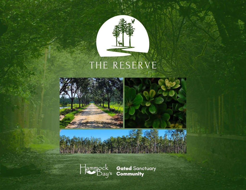 1 of 8 - Lot 13 Reserve At Hammock Bay, Freeport, FL