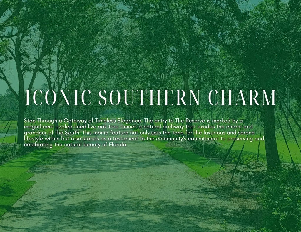 5 of 8 - Lot 15 Reserve At Hammock Bay, Freeport, FL