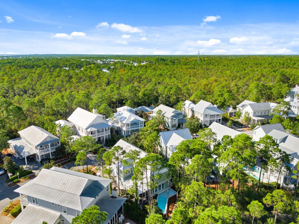 53 of 63 - 384 E Royal Fern Way Way, Santa Rosa Beach, FL