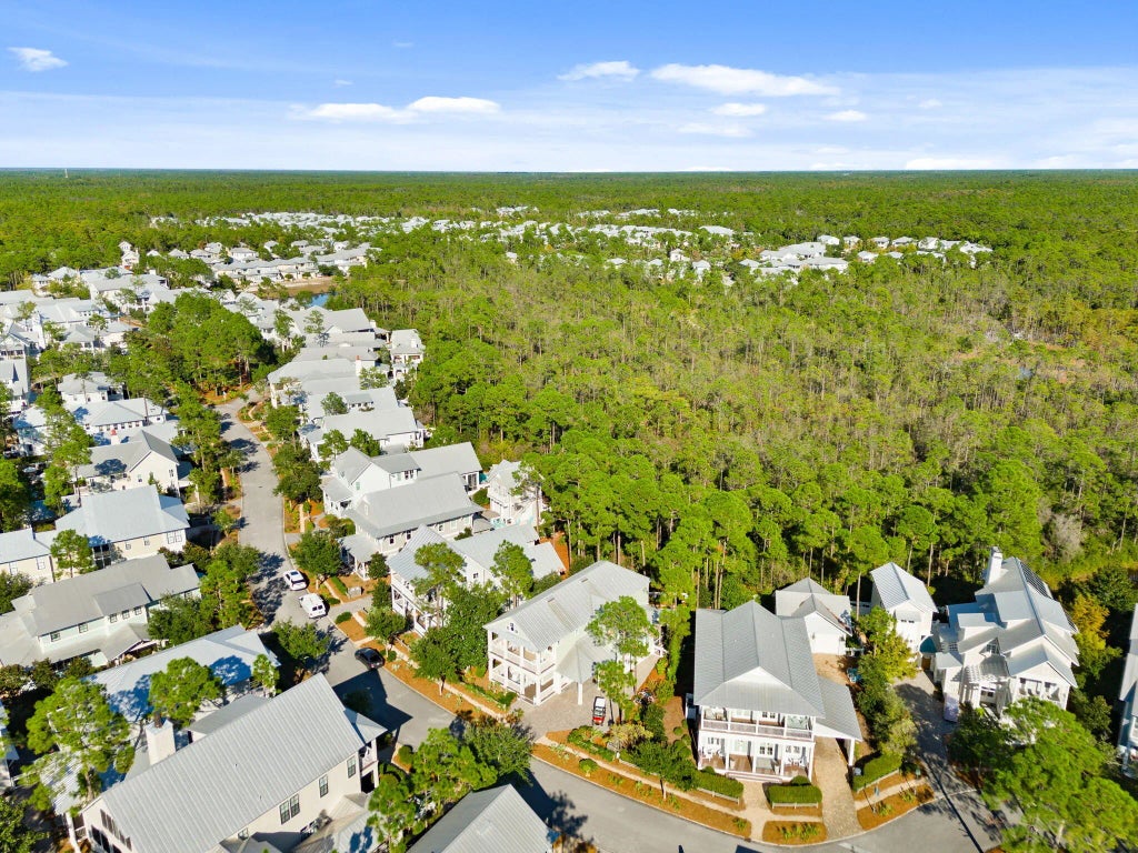 54 of 63 - 384 E Royal Fern Way Way, Santa Rosa Beach, FL