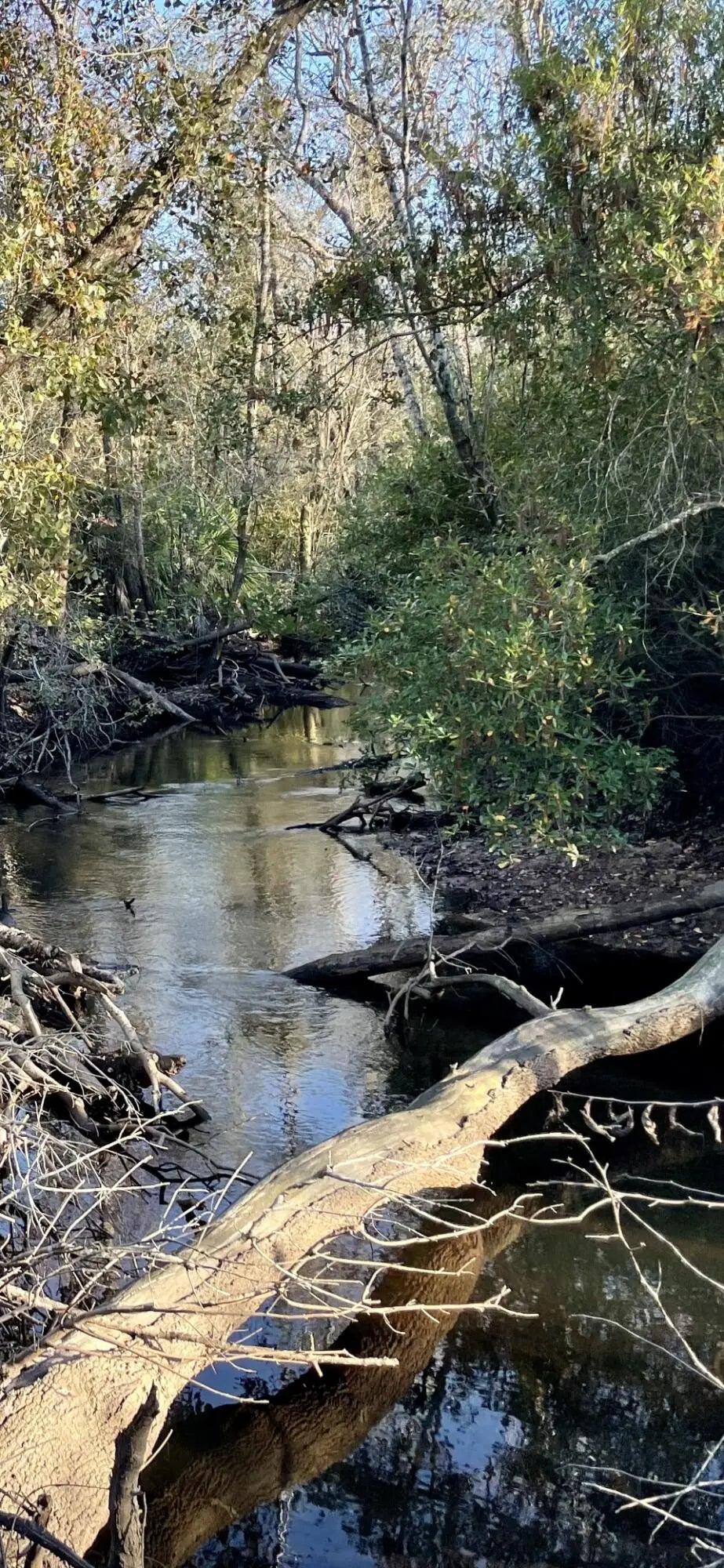 2 of 8 - 11036 Dartmouth Place, Panama City, FL