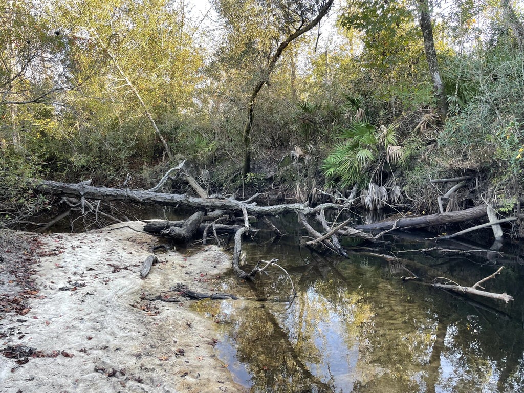 3 of 8 - 11036 Dartmouth Place, Panama City, FL