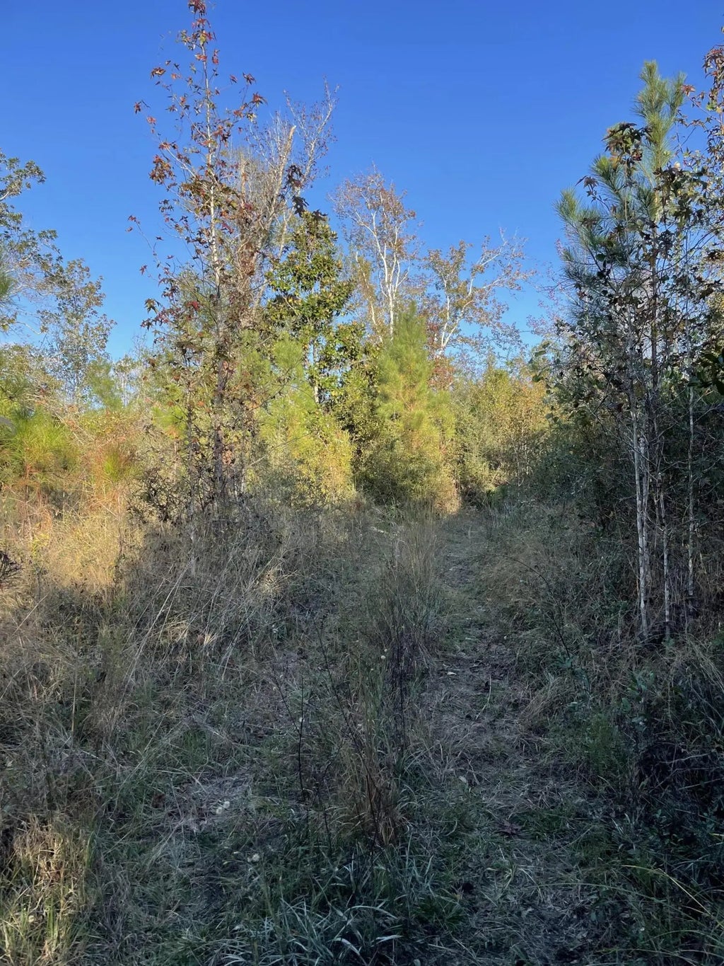 4 of 8 - 11036 Dartmouth Place, Panama City, FL