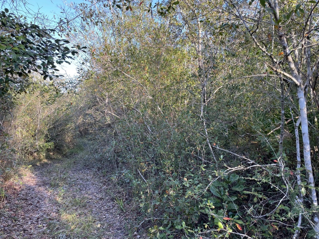 5 of 8 - 11036 Dartmouth Place, Panama City, FL