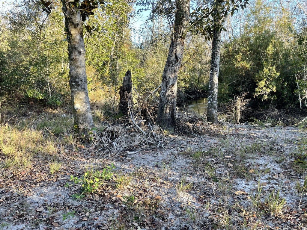 6 of 8 - 11036 Dartmouth Place, Panama City, FL