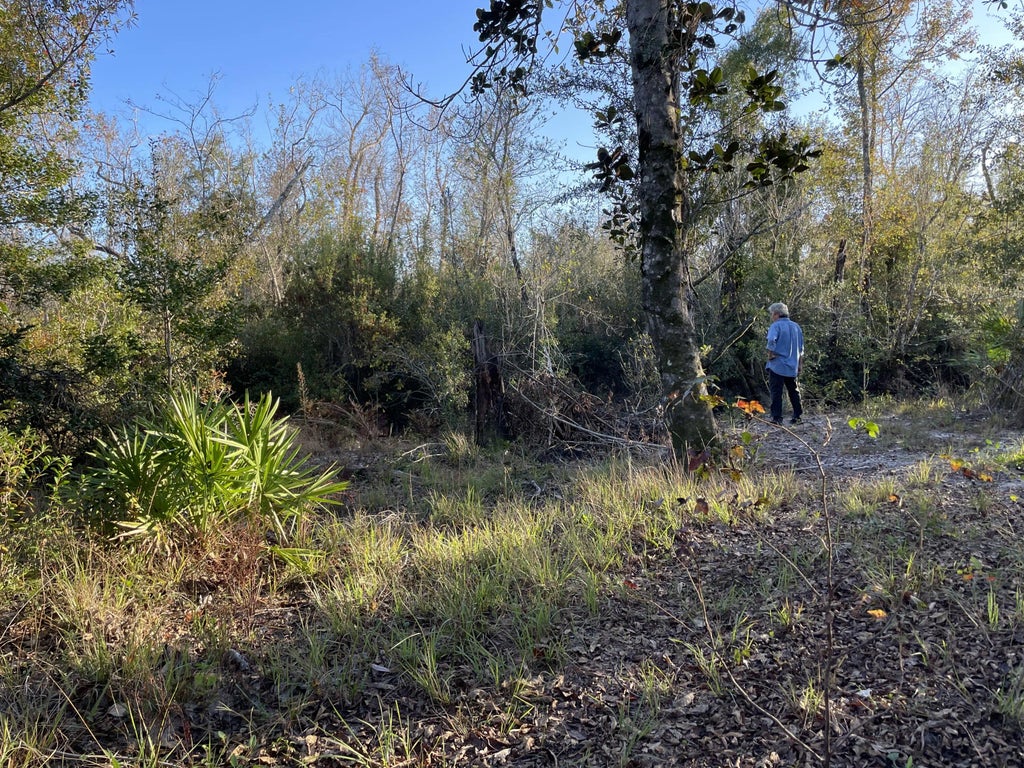 7 of 8 - 11036 Dartmouth Place, Panama City, FL