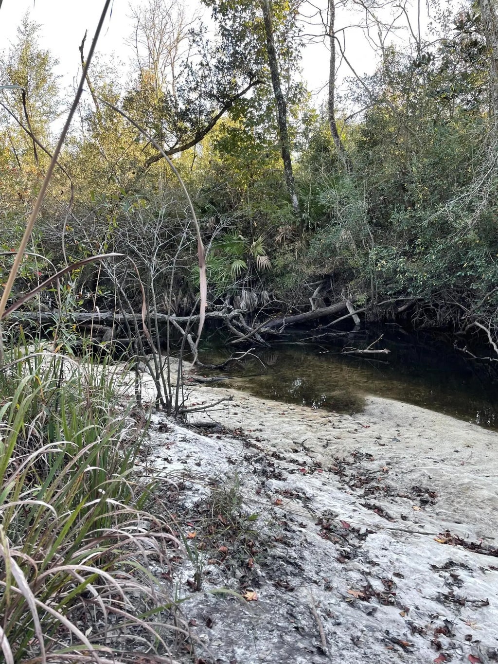 8 of 8 - 11036 Dartmouth Place, Panama City, FL