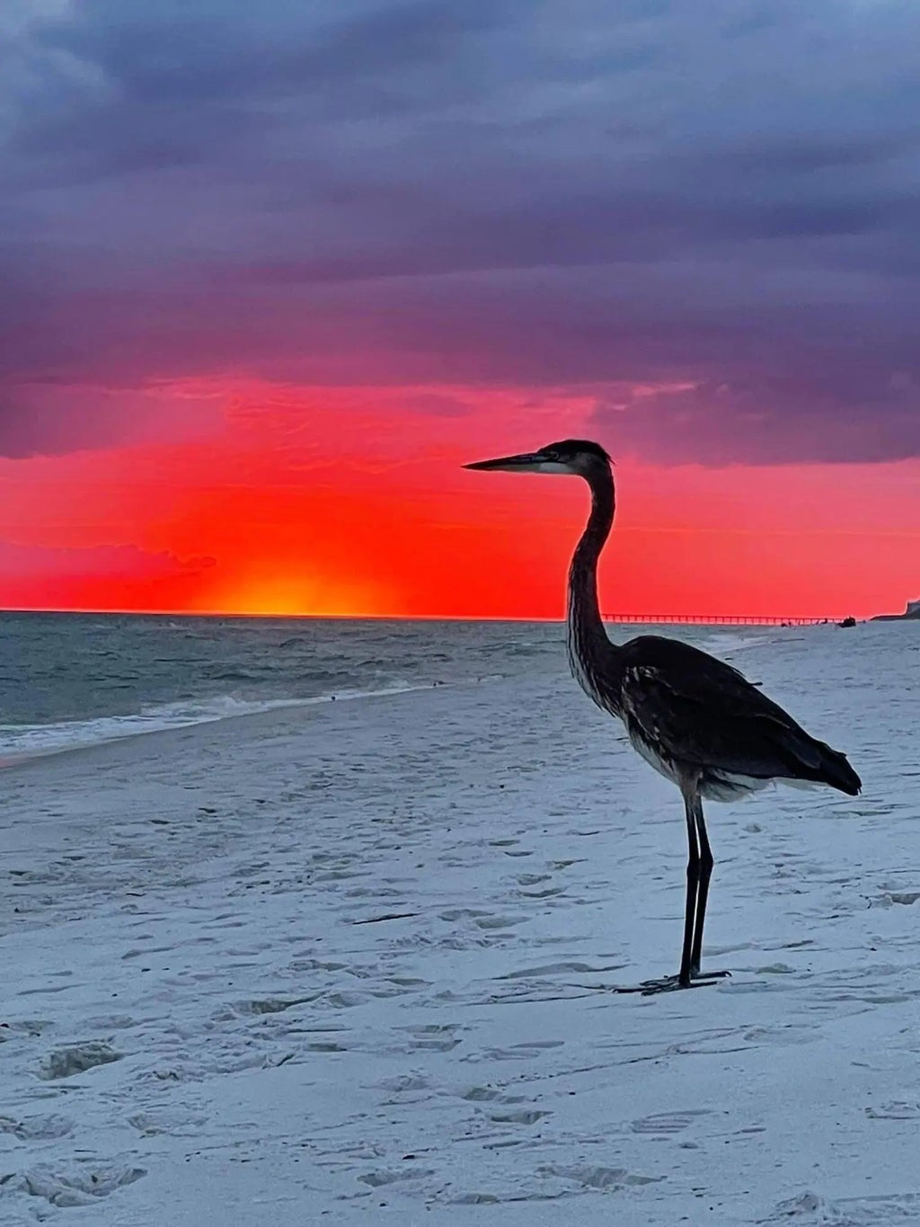 32 of 51 - 95 Laura Hamilton Boulevard 209, Santa Rosa Beach, FL