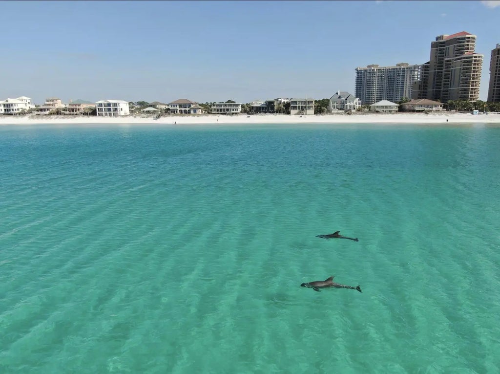 29 of 32 - 713 Sandpiper Drive # 10667, Miramar Beach, FL