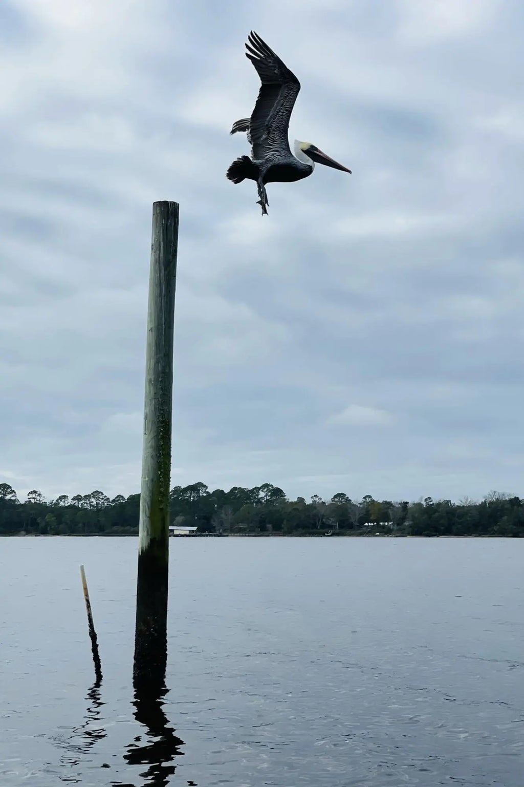 19 of 40 - 2975 Holley Point Road, Navarre, FL