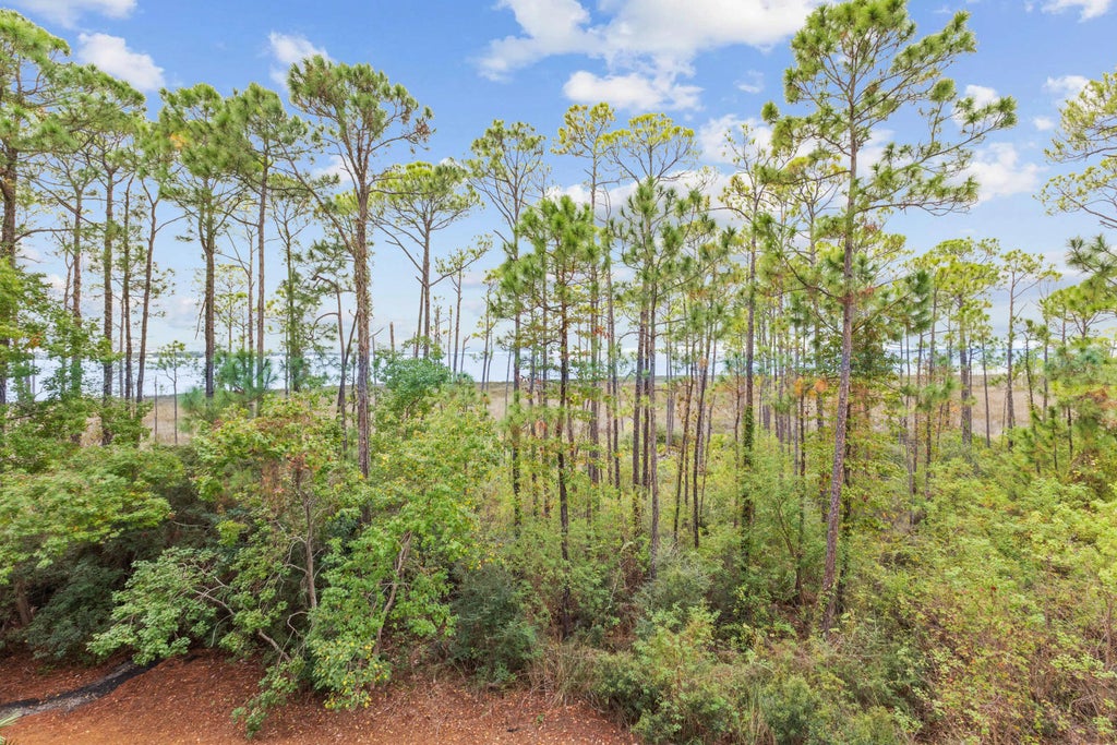 19 of 23 - 9700 Grand Sandestin Boulevard Unit 4212, Miramar Beach, FL